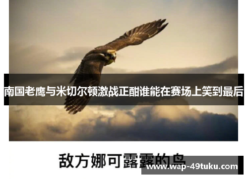 南国老鹰与米切尔顿激战正酣谁能在赛场上笑到最后